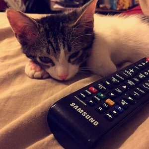 Oliver
